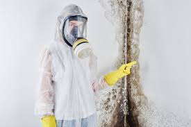 Best Basement Mold Removal  in Lake Geneva, WI